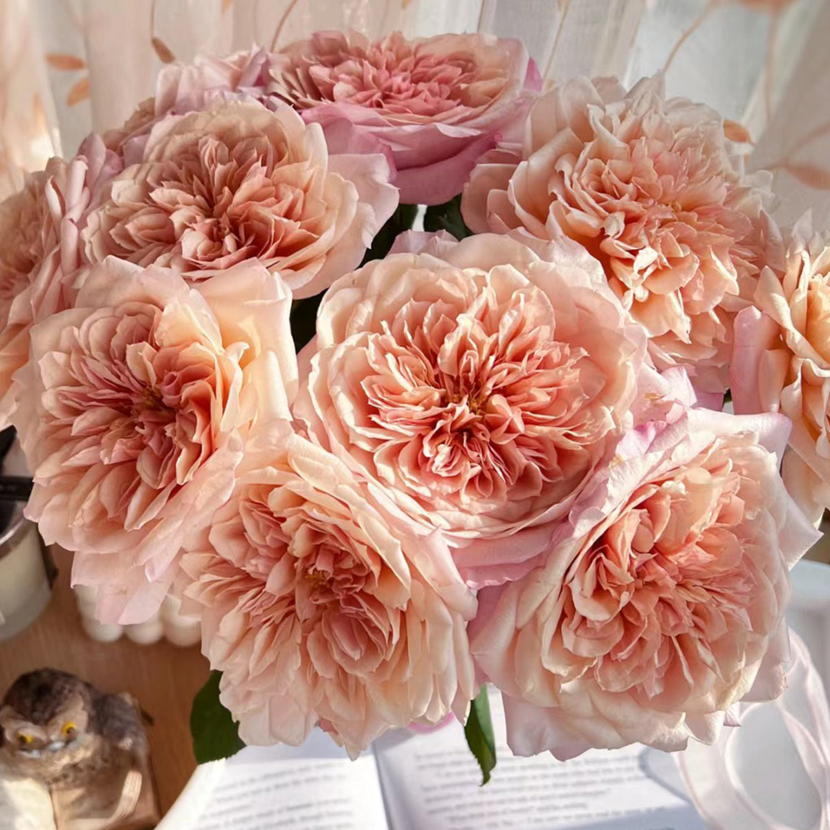 Miyabi Brown Japanese Florist Shrub Rose