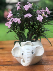 Elephant planter pot for home garden balcony decor