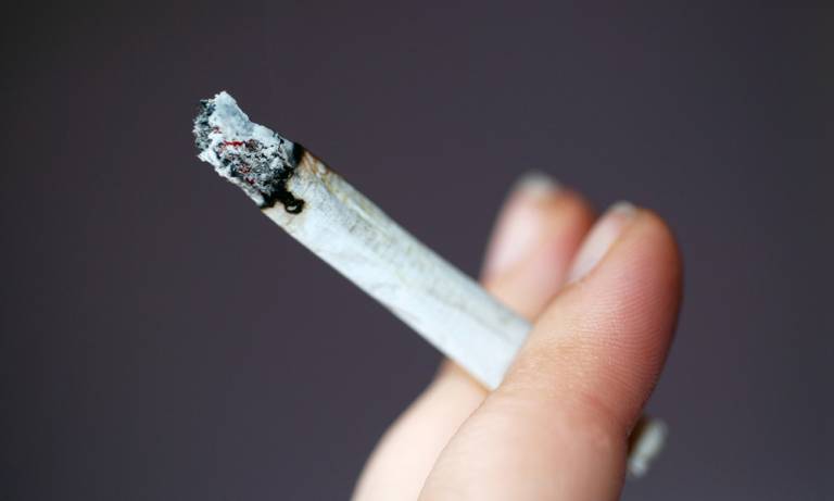 Adding tobacco to cannabis doesn't affect the high, but impacts memory and heart | UCL News