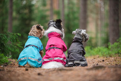 Hundemantel Kuori von Pomppa