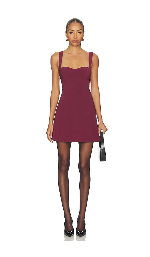 Lovers and Friends Kira Mini Dress in Oxblood