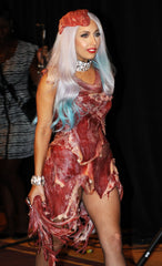 Lady Gaga's meat dress to be shown in DC museum