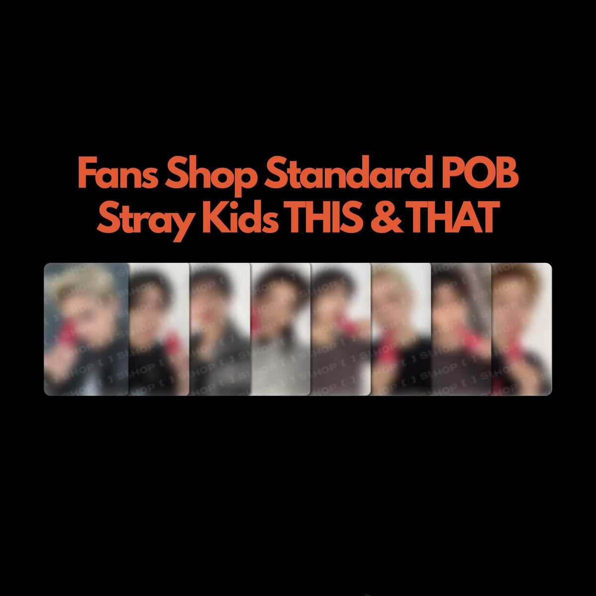 Stray Kids THIS & THAT Fans Shop Standard POB