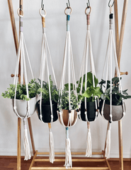 Easy Macrame Plant Hanger Pattern | Beginner | Audrey