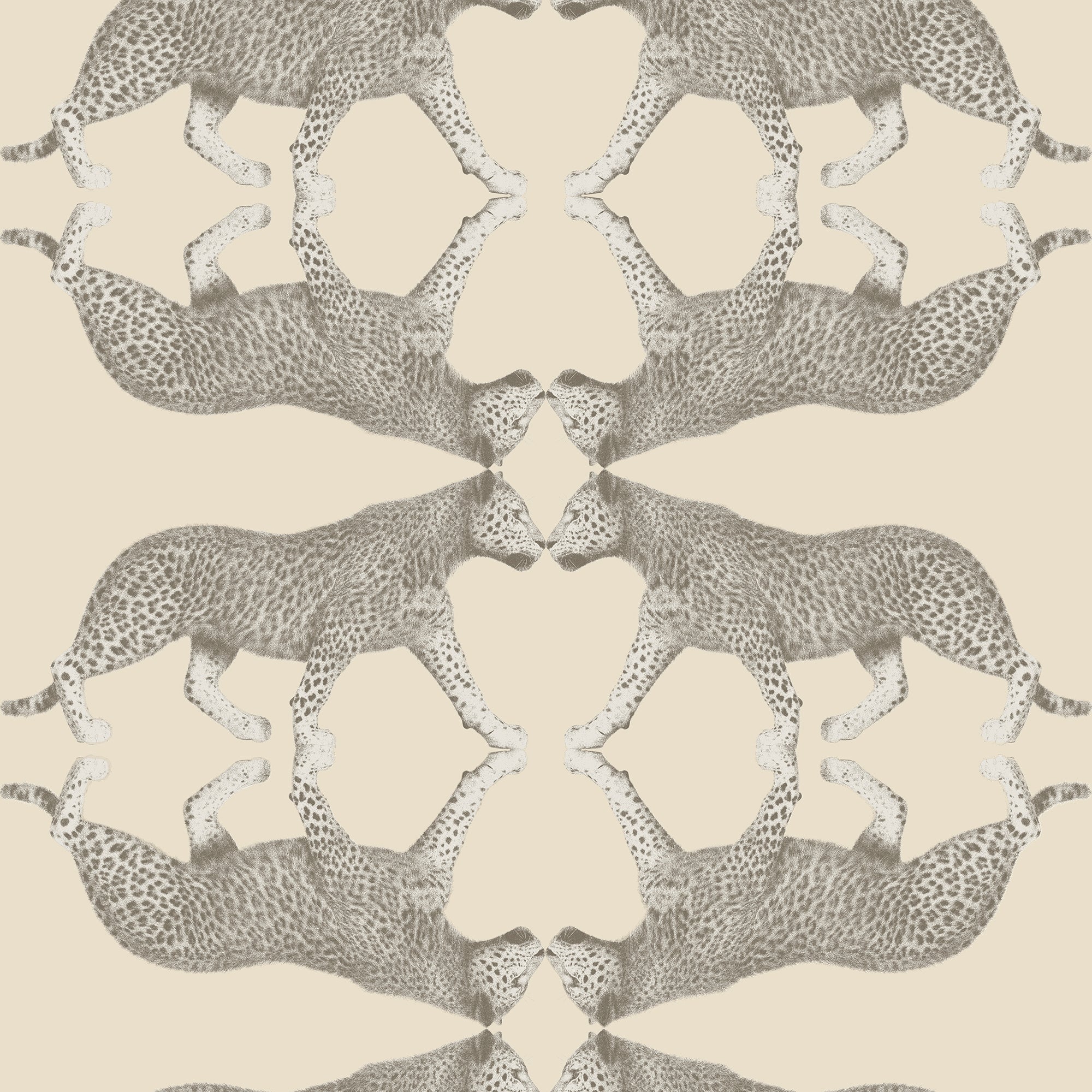 Galerie Sabor Wallcovering