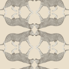 Galerie Sabor Wallcovering