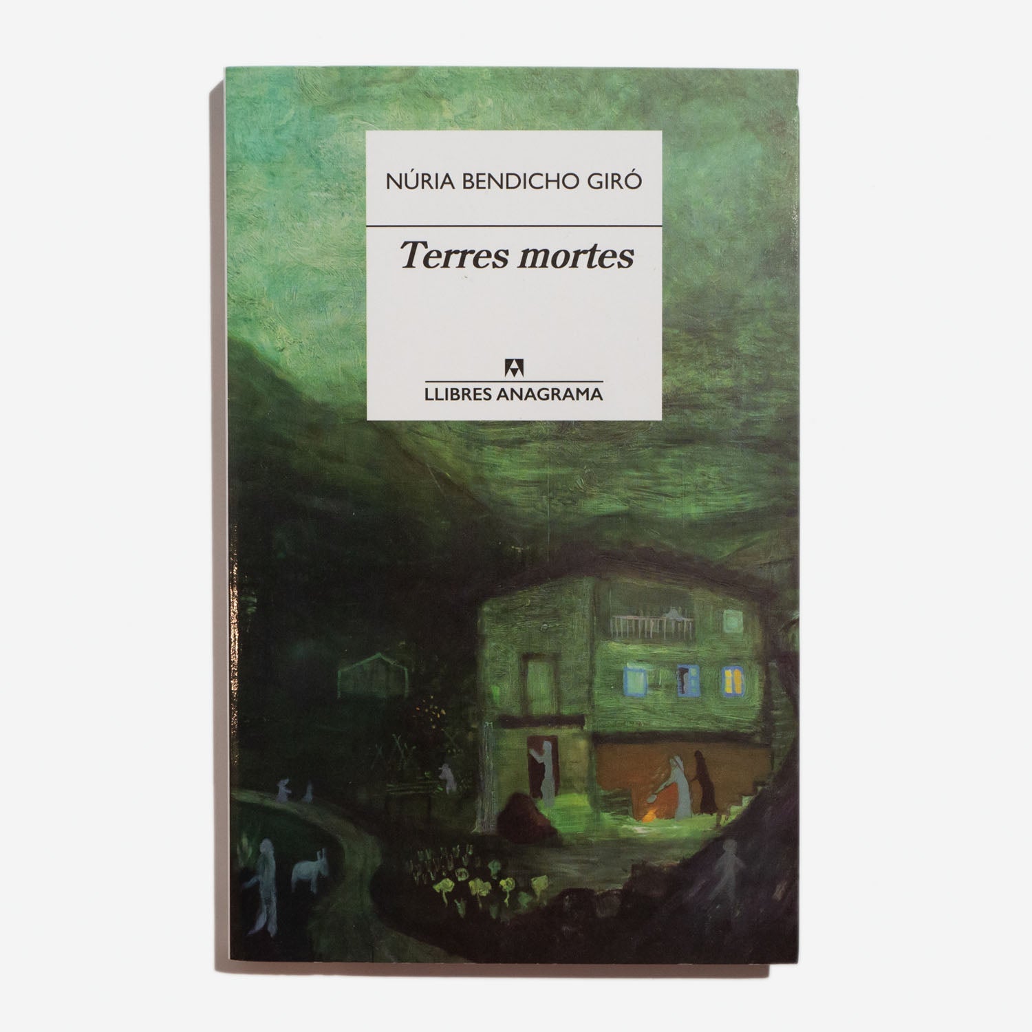NÚRIA BENDICHO GIRÓ | Terres mortes