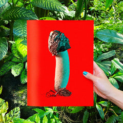 Phyllis Ma: Mushroom & Friends Zines
