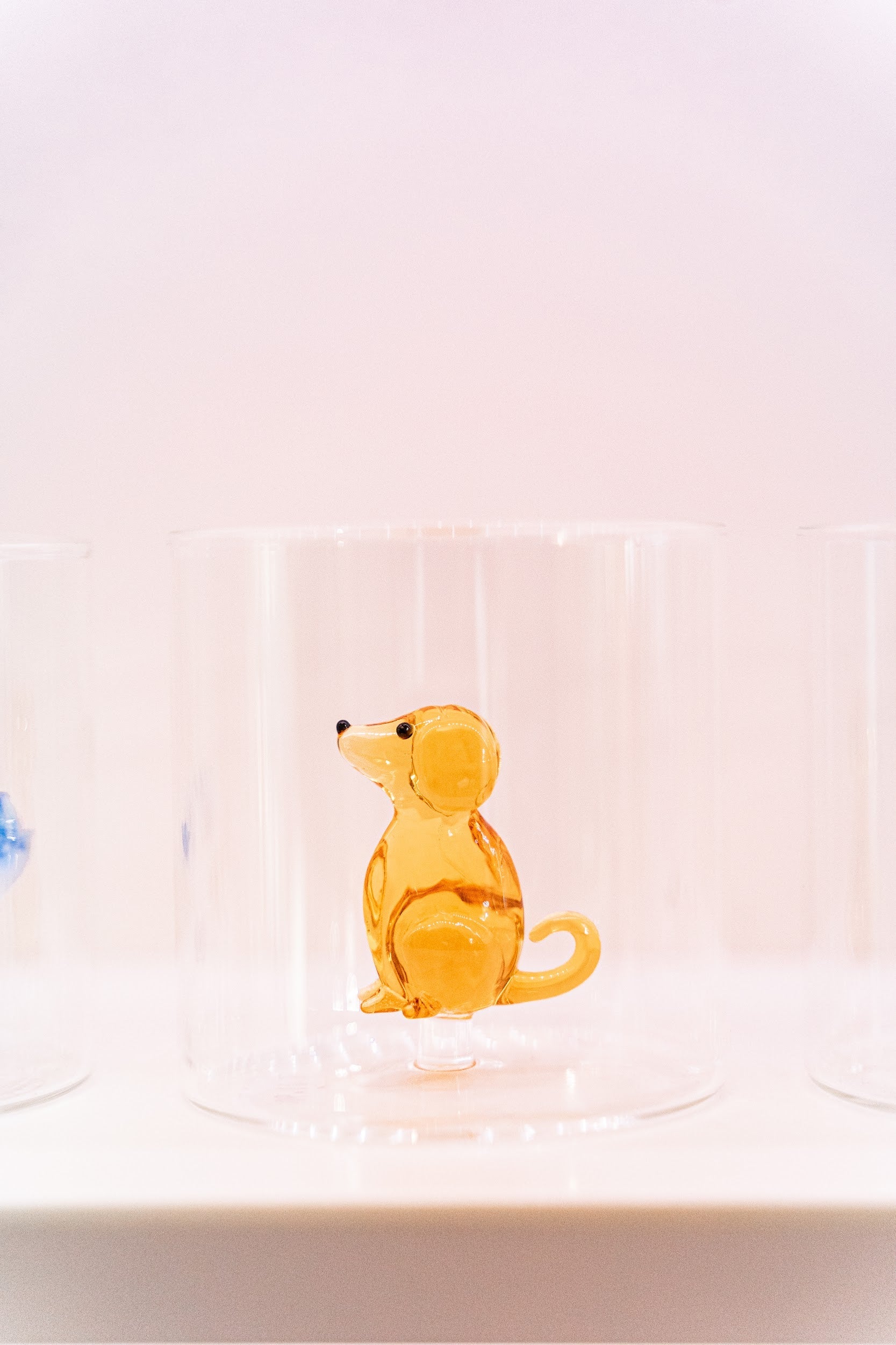 Bicchiere in vetro borosilicato con soggetto cane