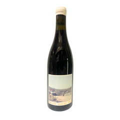 Roberto Henriquez Cinsault "Fundo La Union" 2021