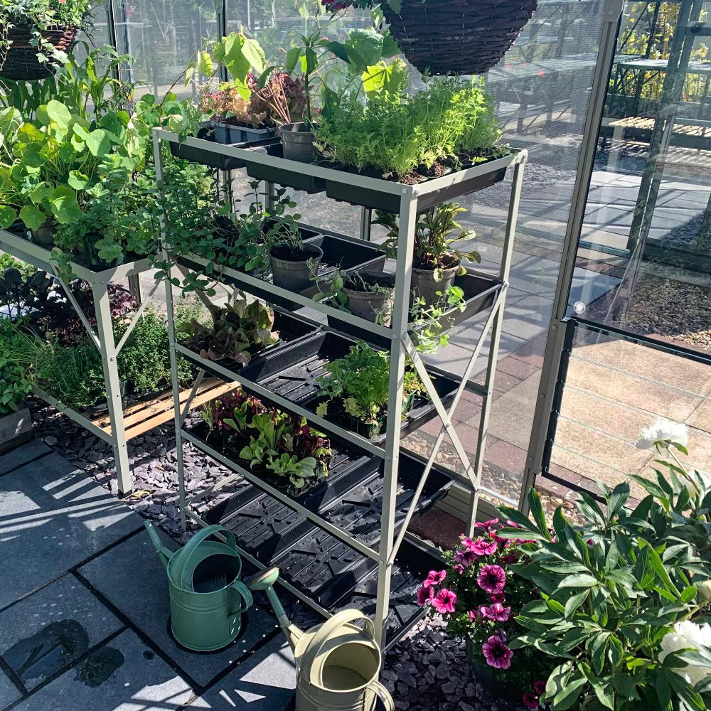 A multi-tiered plant shelf supports potted plants growing under sunlight in a Rhino Greenhouse. Nearby, two green watering cans rest on the ground, surrounded by decorative flowers and pebbles.
