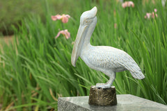 Aluminum garden sculpture of  white pelican standing upon a pier piling.  Shown on marble ledge near iris garden