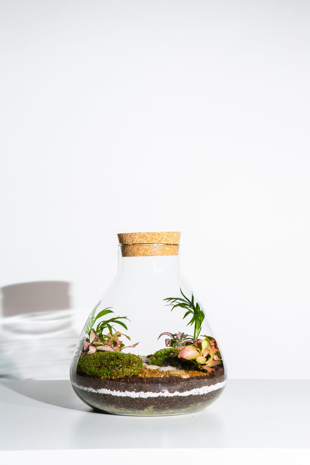 Terrarium Class- Upgrade LAB Jar