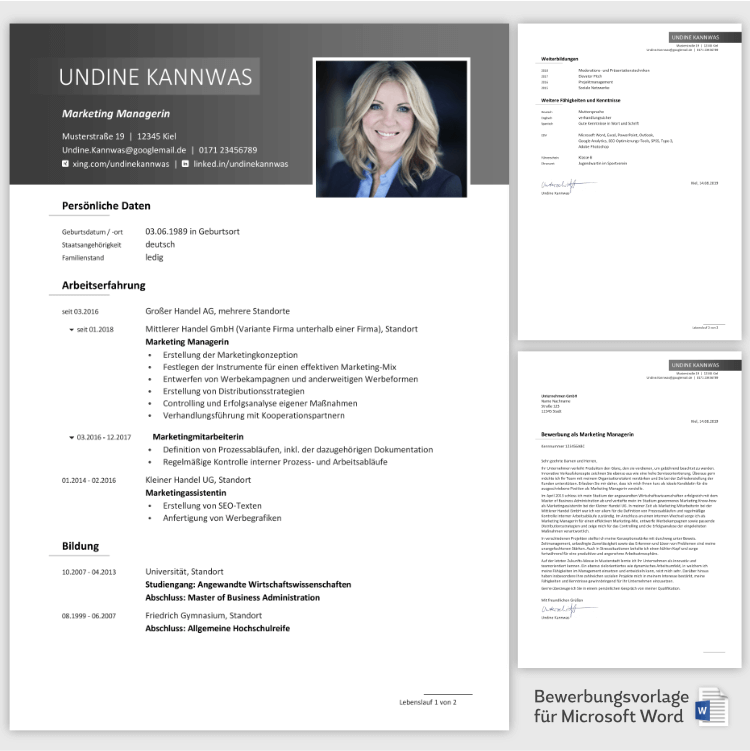 Professionelle-Bewerbungsvorlage-Analytiker