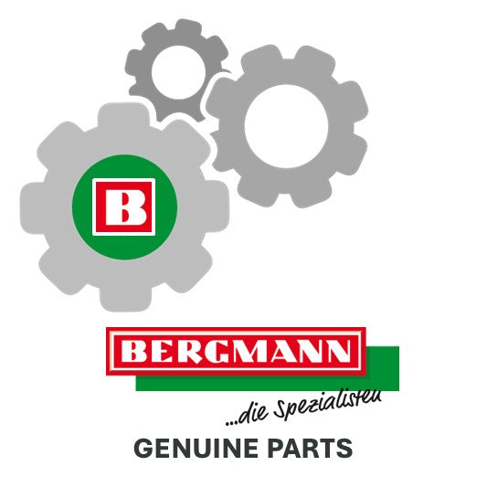 Bergmann original Achsschenkelbolzen-Set 9RST06 (9RST02+9RST03) - 603990325