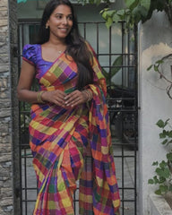 Festive Saree - Multi Color Golden Check