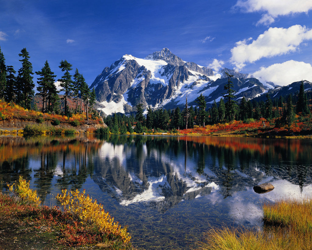 Autumn Foliage Surrounding Picture Lake