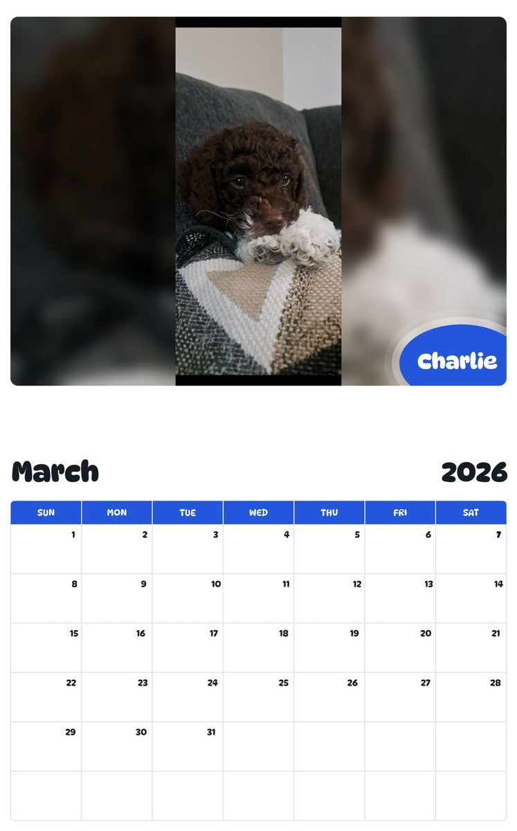 November 2025 - October 2026 Charlie - Pawidols Pet Calendar