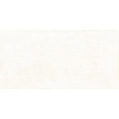 Everest 60x120 Blanco Matt R10