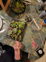 Vertical Succulent Garden Workshop for Beginners
