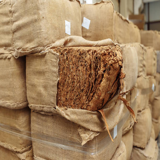 Natural Indian Burley Tabacoo Leaves, Grade: A Grade, Packaging Type: Bag  at ₹ 260/kg in Thane