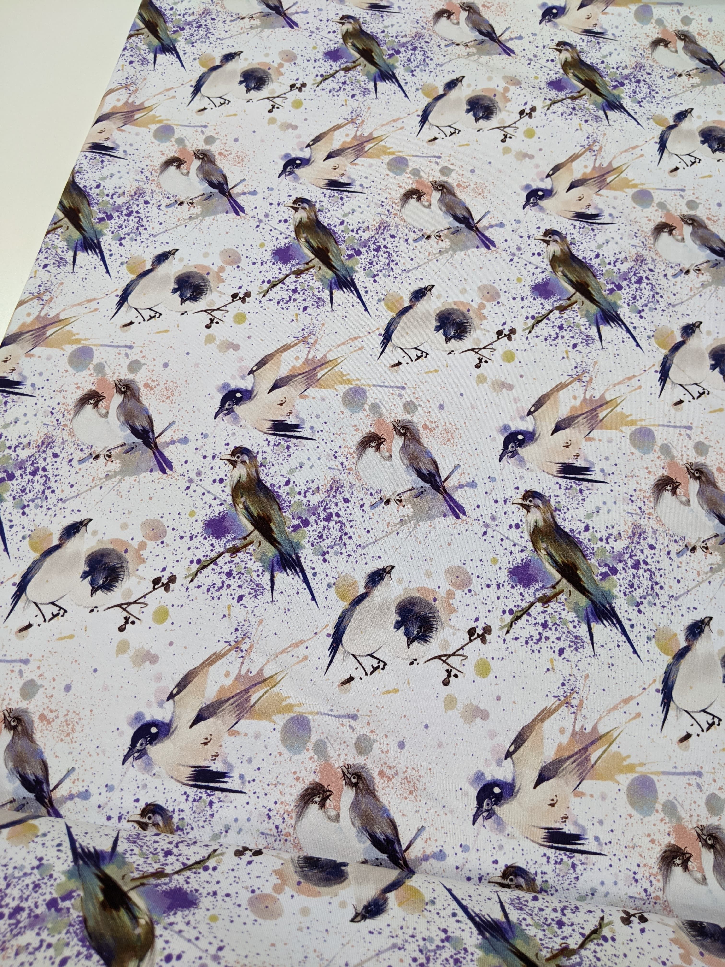 Oiseau aquarelle