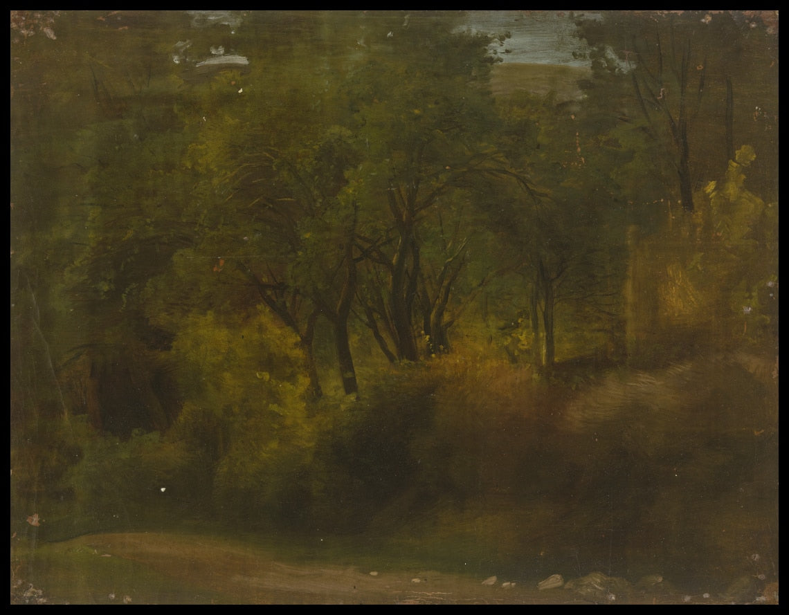 Waldlandschaft