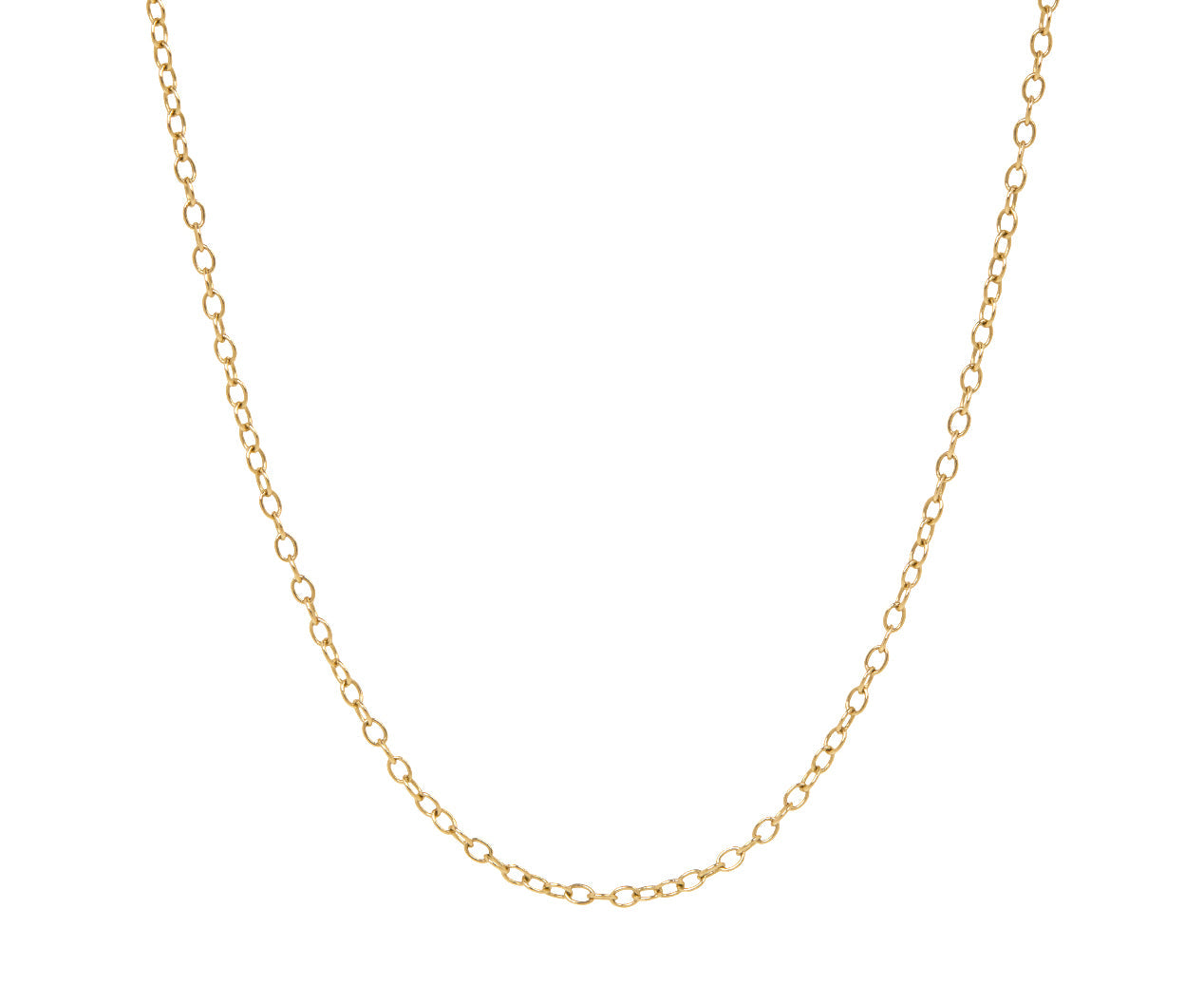Rosanne Pugliese Medium Chain Necklace