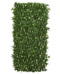 Podocarpus Expandable Fence