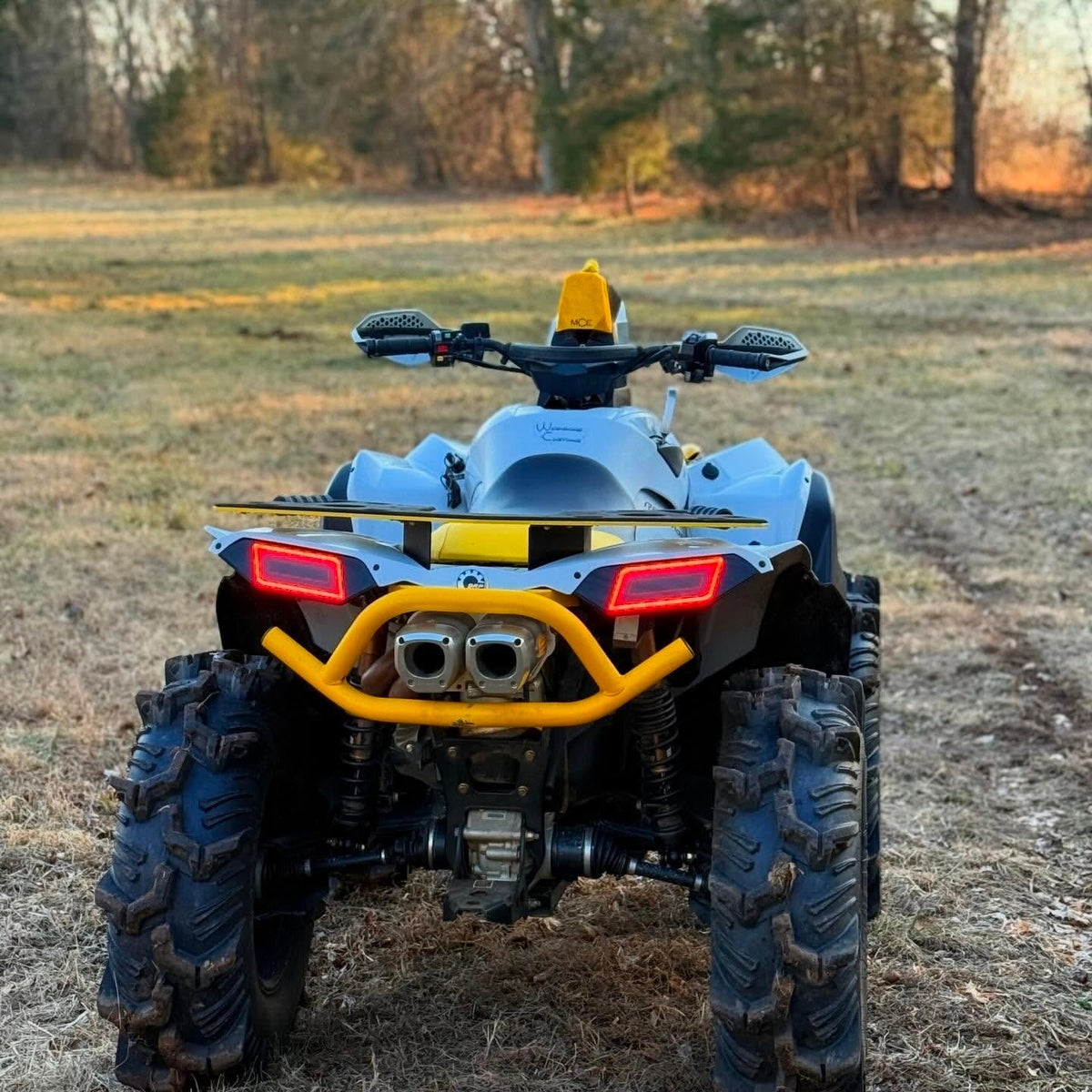 Eagle Eye Tail Lights for Can-am Renegade