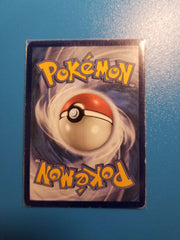 Card Conditions – Derpy Cards