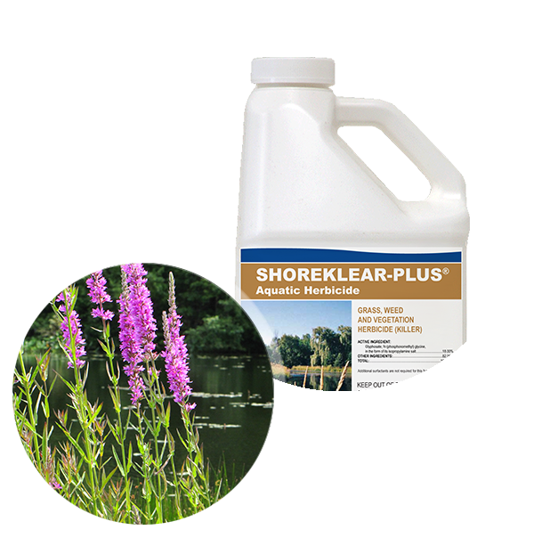 Applied Biochemists Shoreklear-Plus® Aquatic Herbicide 1 Gallon