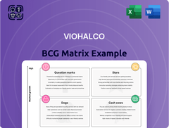 Viohalco Boston Consulting Group Matrix